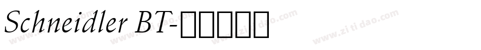 Schneidler BT字体转换